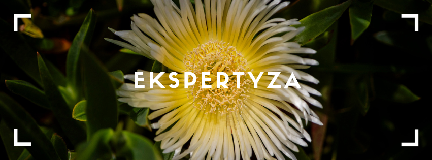 Banner - kwiat i napis ekspertyza